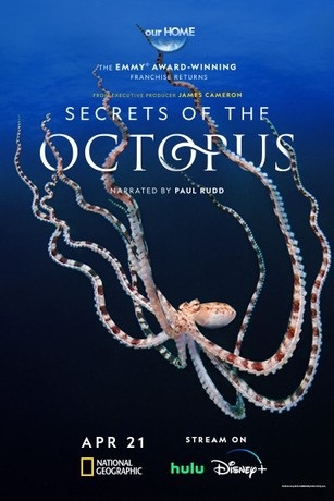 EN - Secrets Of The Octopus (2024)