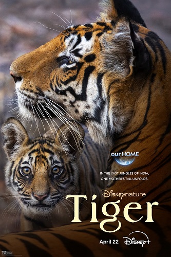 EN - Tiger 4K (2024)