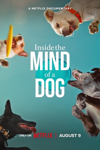 NF - Inside The Mind Of A Dog (2024)